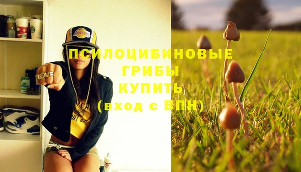 спайс Балабаново
