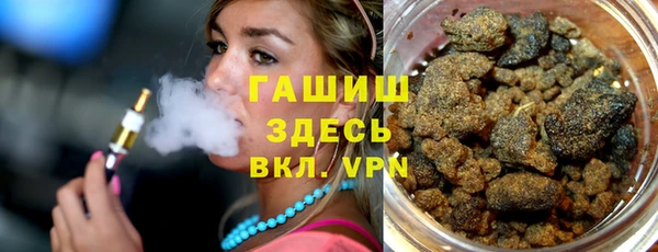 индика Михайловск