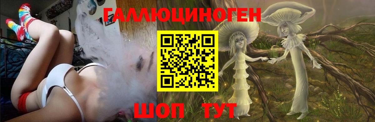 Галлюциногенные грибы мухоморы Унеча